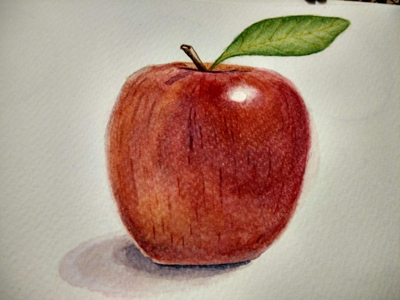 彩铅大苹果|纯艺术|绘画|阿拉灯神丁2015 - 原创作品 - 站酷 (ZCOOL)